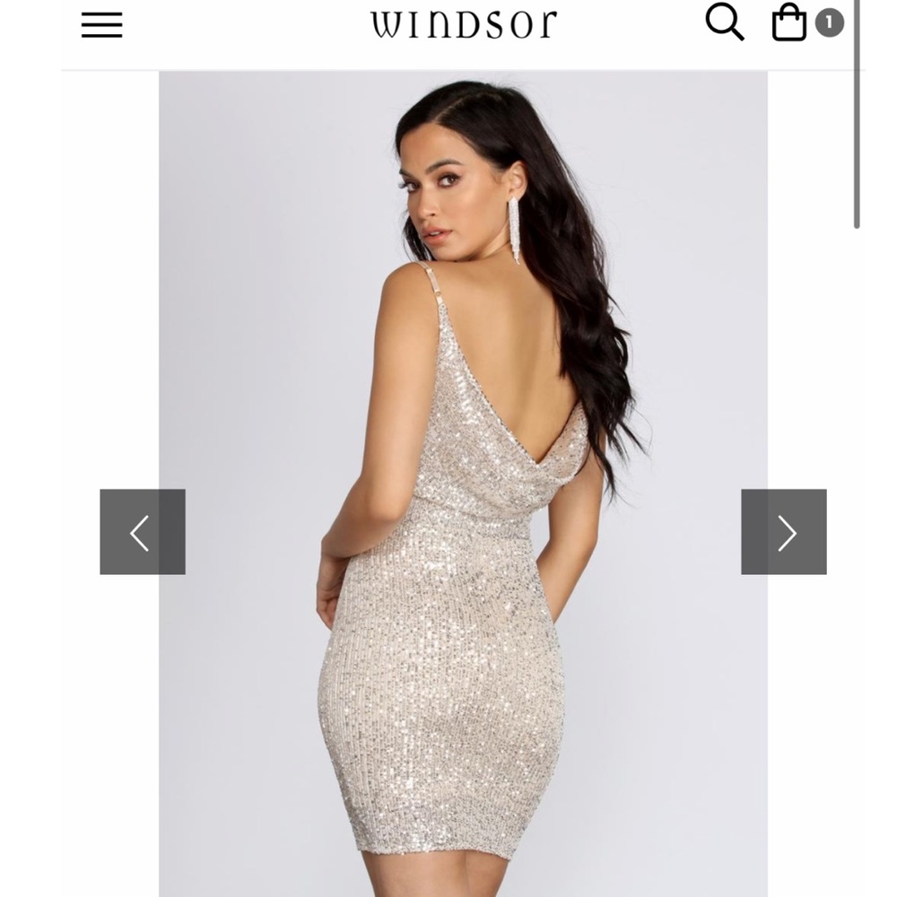 silver dress from windsor.